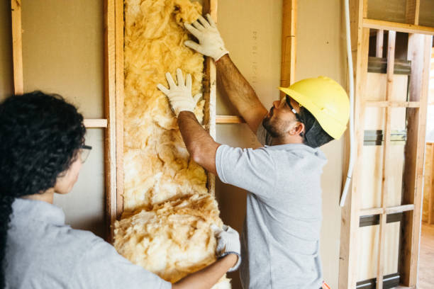 Best Insulation for New Construction  in Oran, MO